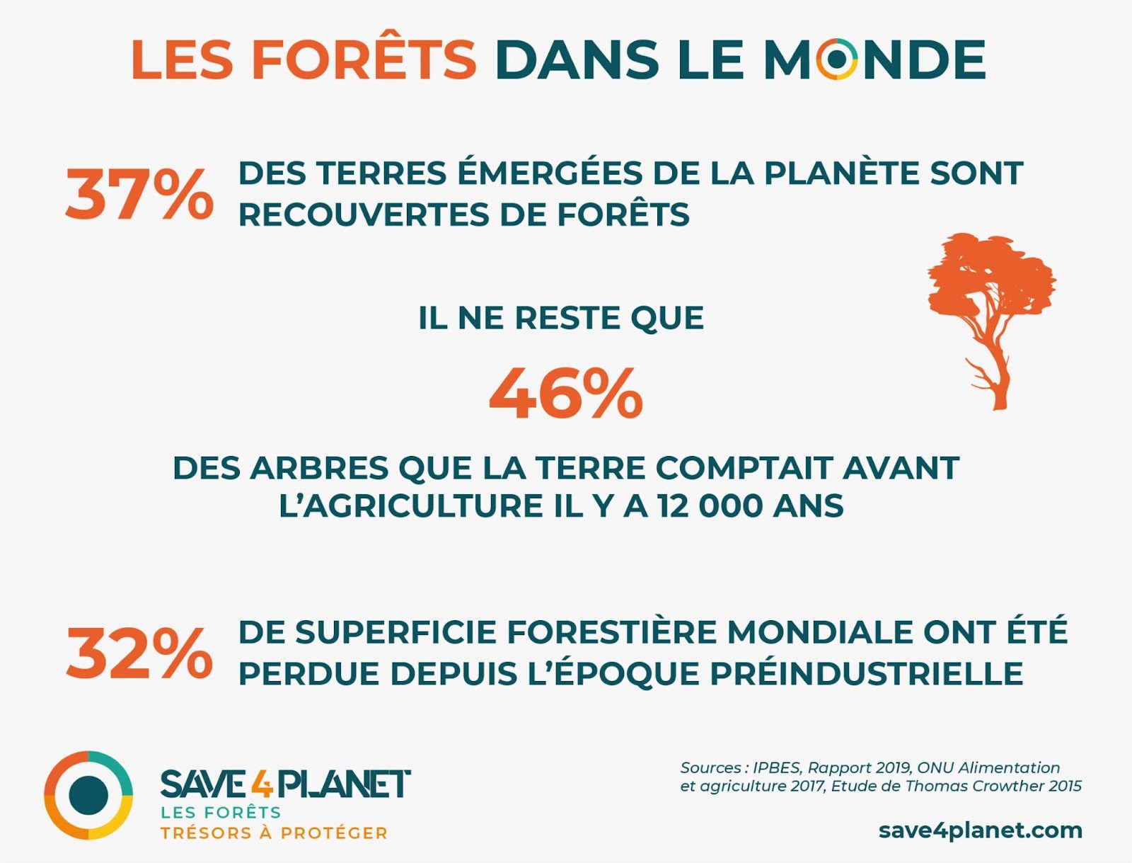 Infographie deforestation image