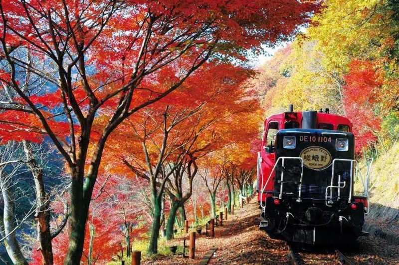 mùa thu Nhật Bản