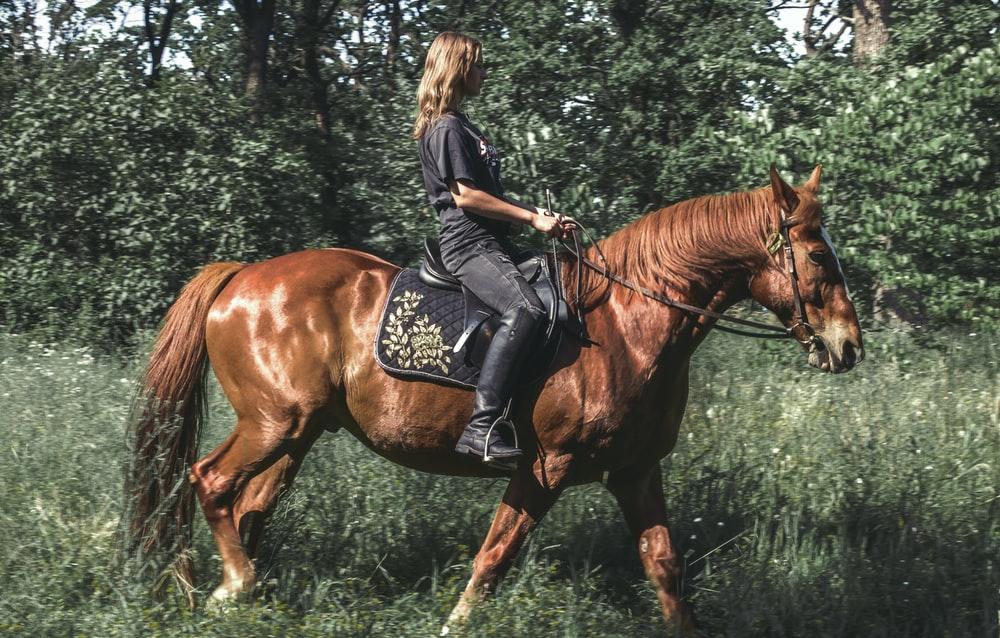 woman in black jacket riding brown horse during daytime