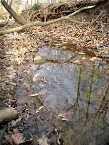 Natural areas such as small creek valleys make excellent "classrooms".