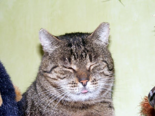 Obrazek