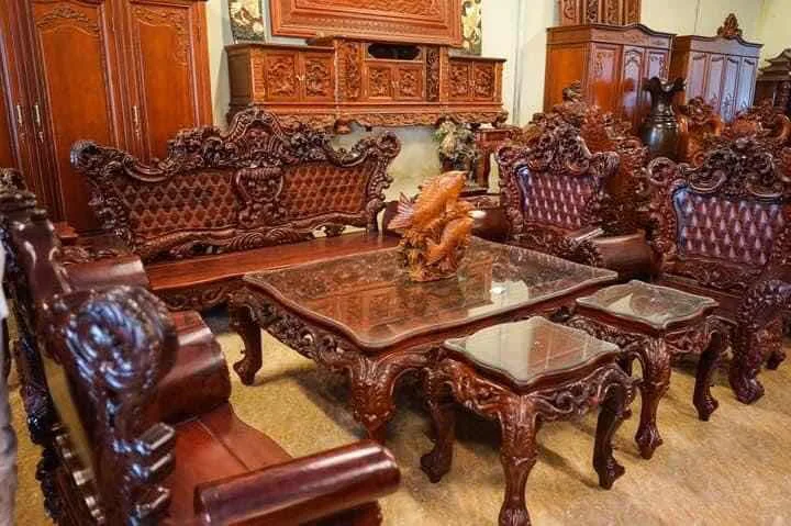 RỪNG ĐI VỀ ĐÂU ???