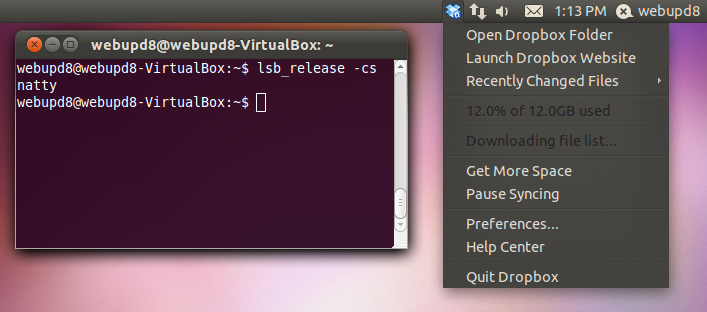 Get The Dropbox AppIndicator To Work In Ubuntu 11.04 Natty 
