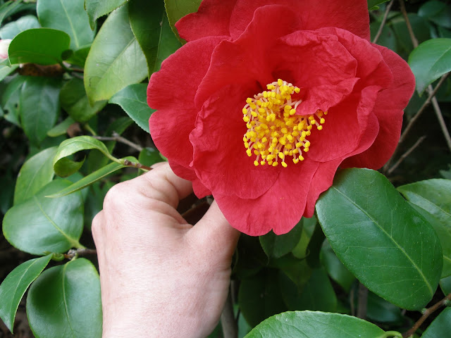 P3290010.JPG