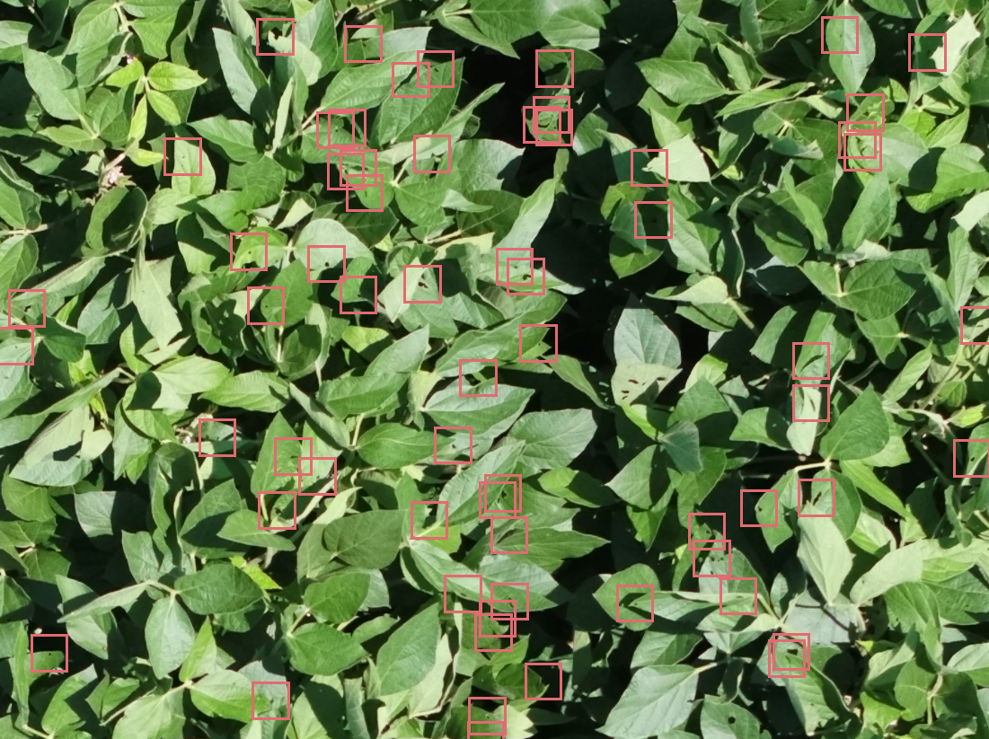 Taranis's AcreForward leaf-level crop intelligence