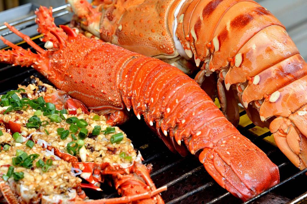 Image result for tôm hùm côn đảo