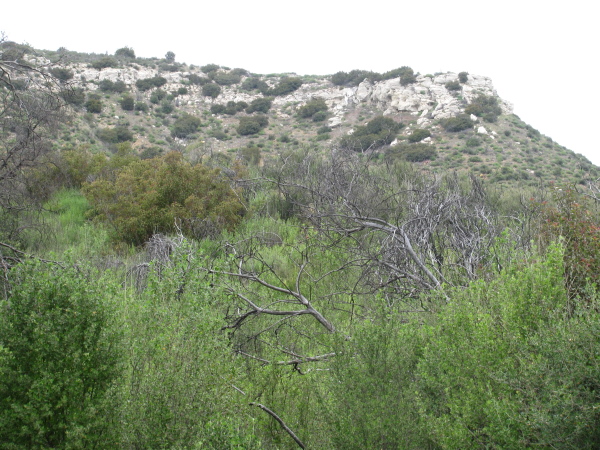 Hills with rocks at the top to help them stay tall.