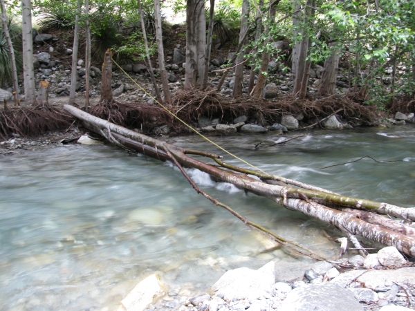 tied logs lapping at the top of the river forming a bridge