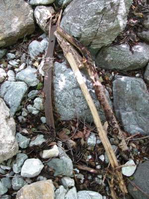 a leaf spring next to some wood that was also carried down by the stream