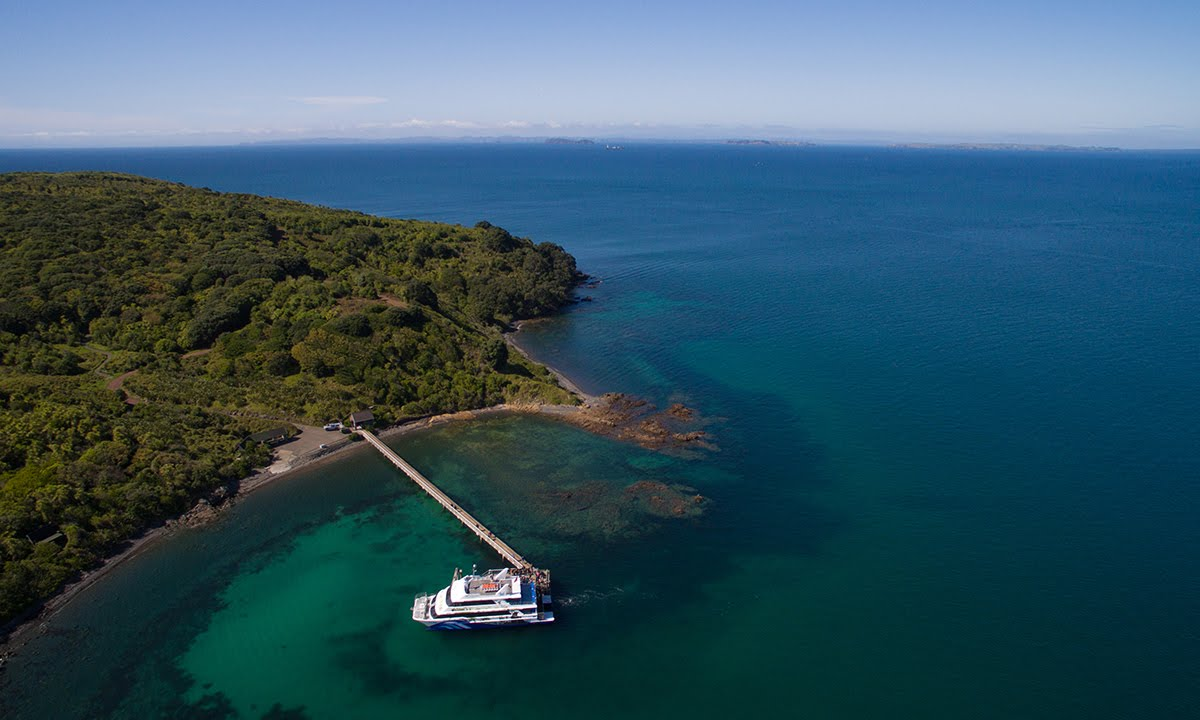 Tiritiri Matangi Island, 