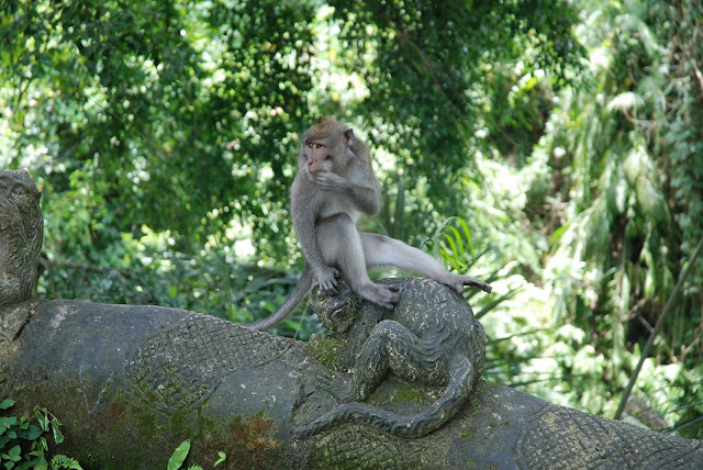 Бали: февраль 2011 – Кута, Убуд