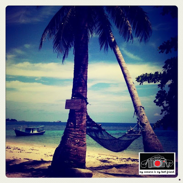 Hammock