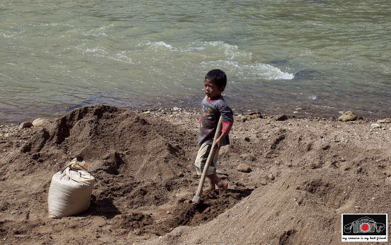 Little boy with rake