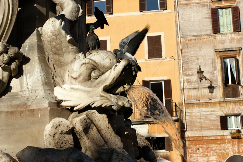 Roma