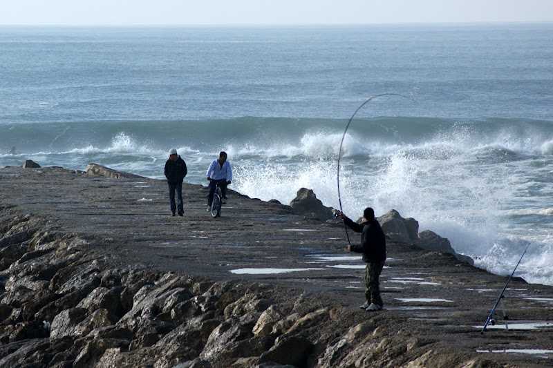 Pescador na Costa da Caparica