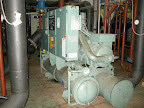 DSCN8317.JPG