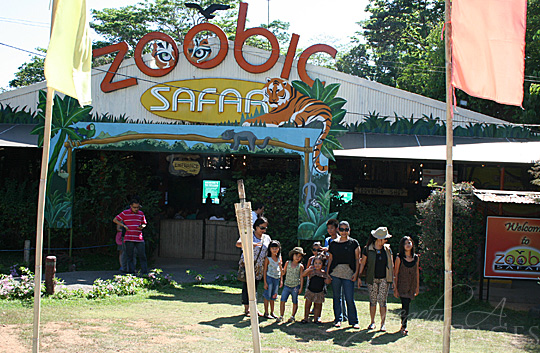 zoobic safari