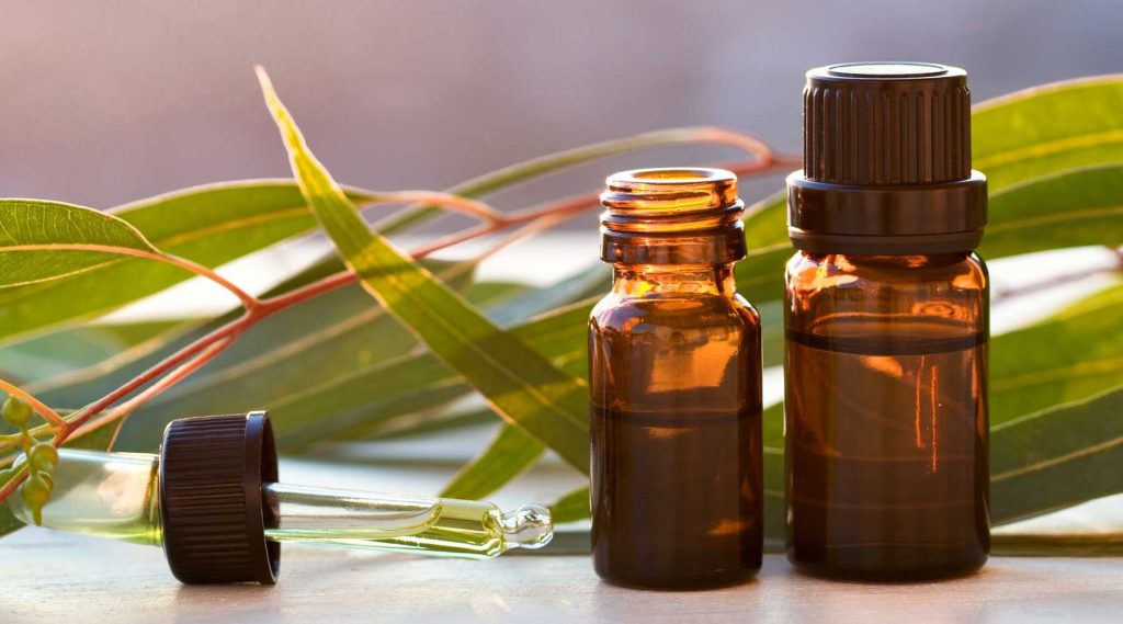 đuổi muỗi bằng tinh dầu tràm
