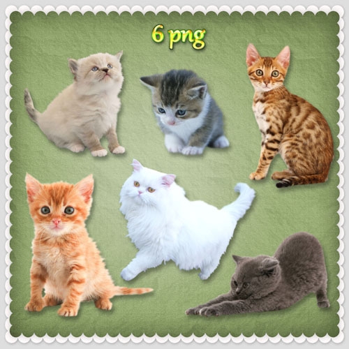 cats and kittens clip art. PNG Clipart - Cats l 110