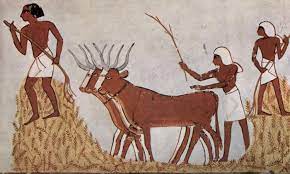 El origen de la Agricultura hace 10.000 años, clave para producir más  alimentos – Agriculturers.com | Red de Especialistas en Agricultura