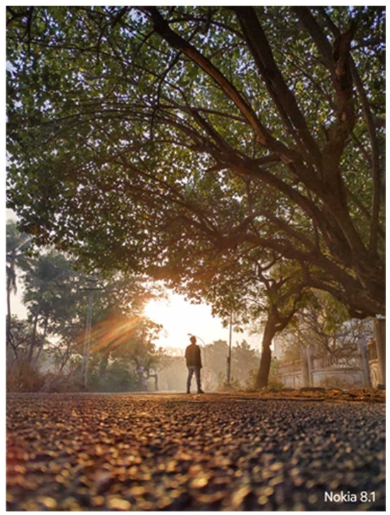 nokia 8.1 price in india Camera Sample nokia 8.1 price in india Camera Sample