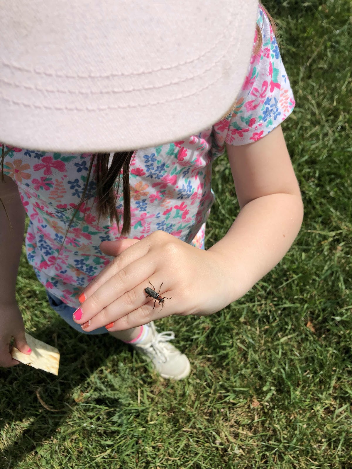 insect on hand