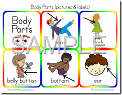 Body Parts