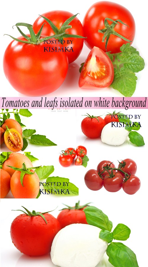 Stock Photo: Tomatoes and leafs isolated on white background Stock Photo: Tomatoes and leafs isolated on white background