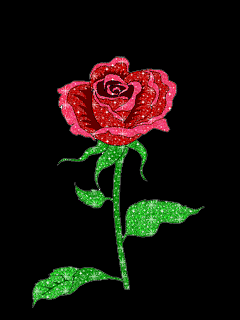 Crvena ruža download besplatne animacije za mobitele