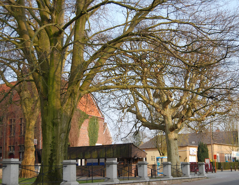 Пепинген и Меербеке 