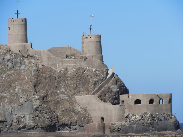 oman عندما تتحدث الصور عن عمان ( فقط من أمواج ) DSCN5263
