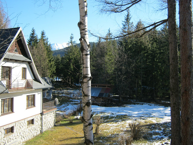 IMG_0138.JPG
