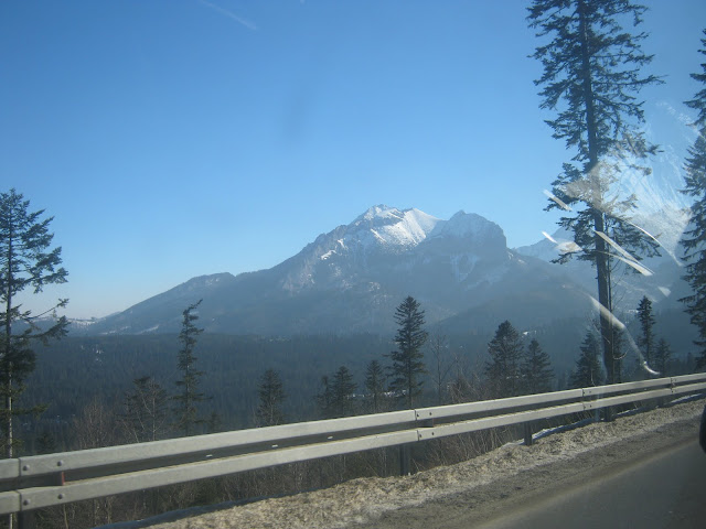 IMG_0203.JPG
