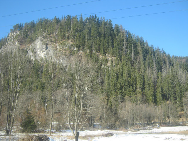 IMG_0204.JPG