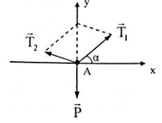 Phân tích những lực căng thừng T2, T1 và P