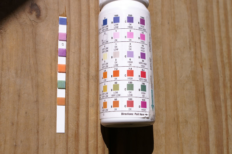 Baquacil Test Strips Color Chart