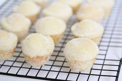 close-up photo of Cinnamon Sugar Donut Muffins