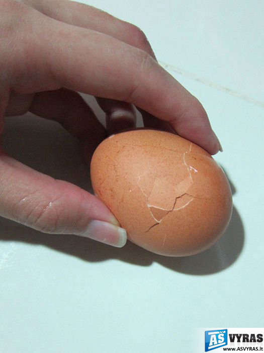 Ypatingi kiaušiniai