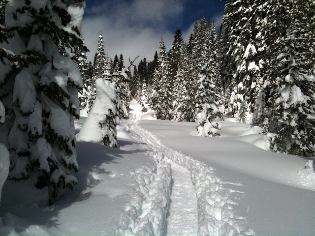 donner pass snow. near Donner Pass on I-80.