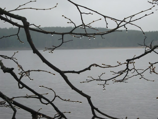 Уездные бриллианты (Тверская область)