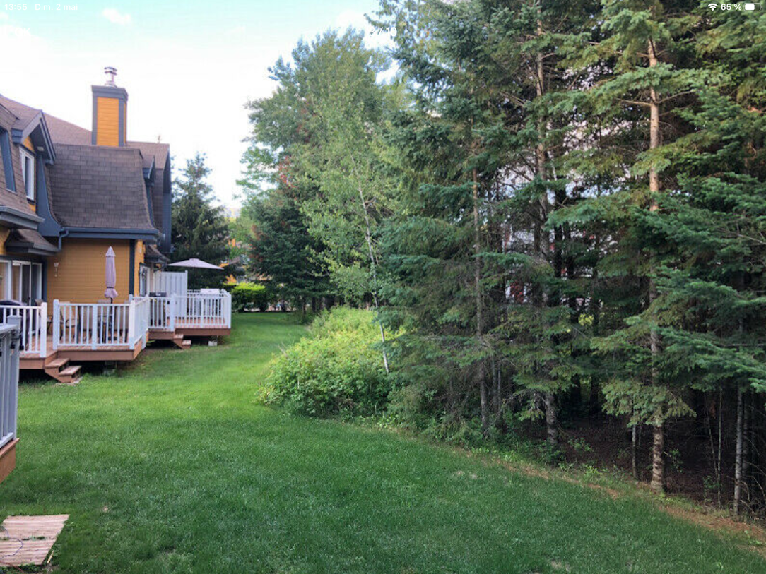 Magnificient cottages for rent in Tremblant, Quebec #7