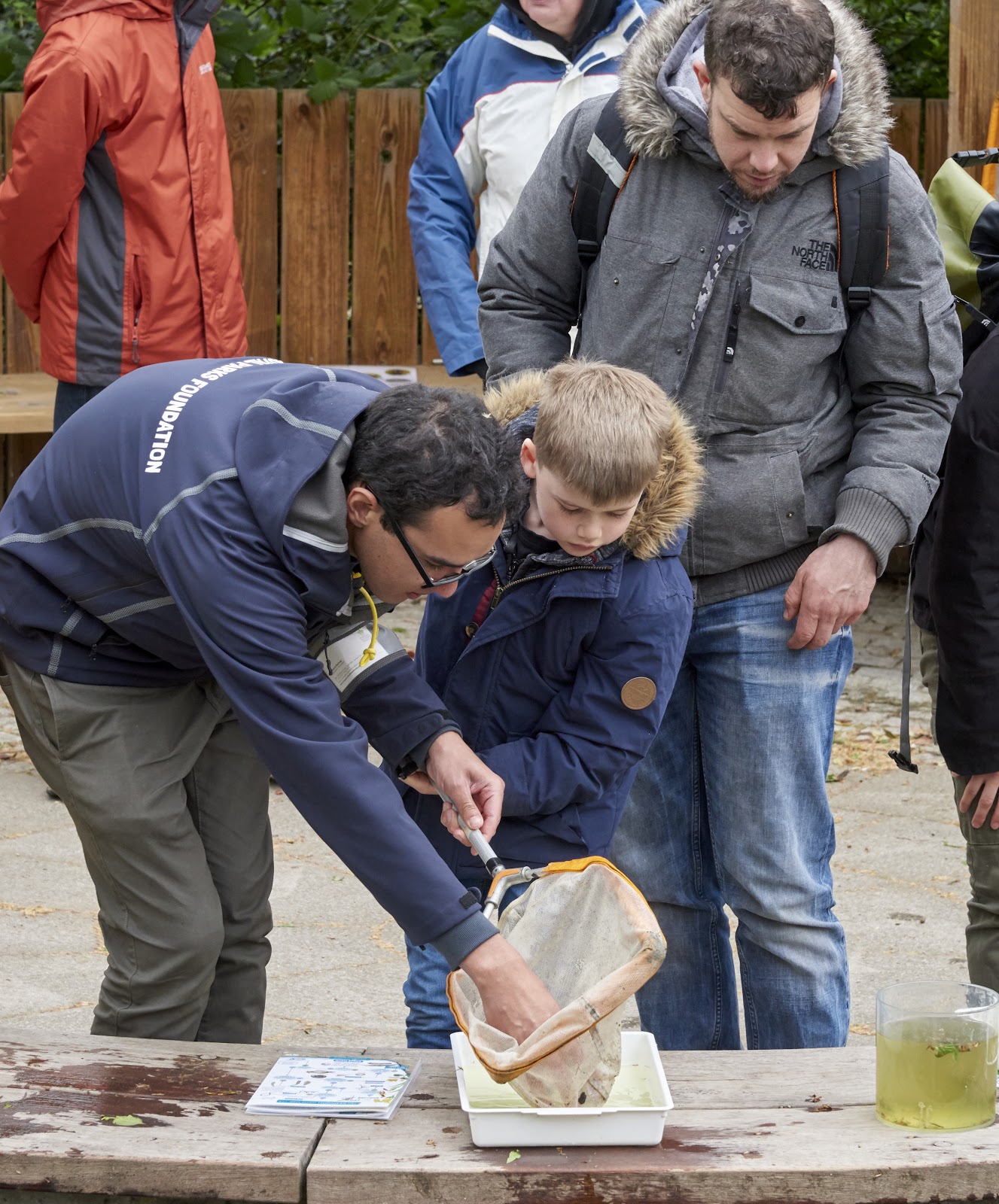Man and boy inspecting net contents during the City Nature Challenge pond dipping