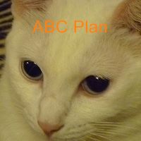 ABC Plan