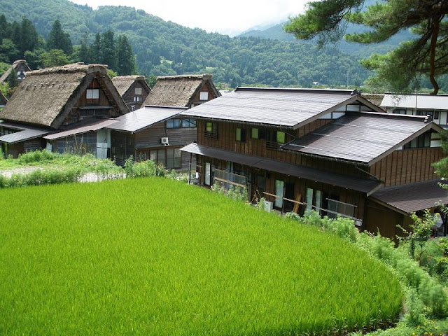 DIA 11 - SHIRAKAWA - Japon 2008 Julio-Agosto (4)
