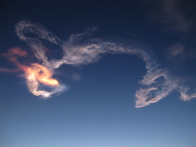 Dragon in the sky after STS-131