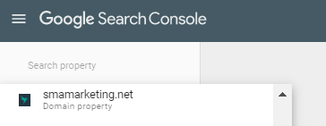 Google Search Console search for property