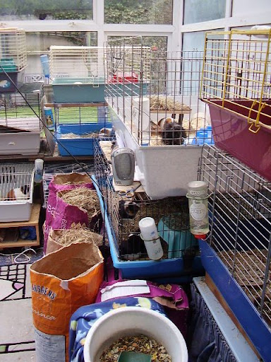 PC230567.JPG