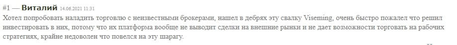 Viseming: отзывы об инвестиционном проекте. Выгодно сотрудничать или нет?