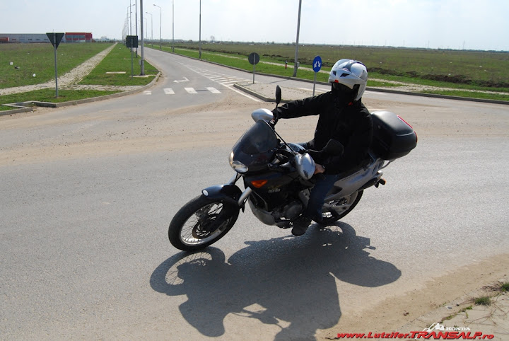 DSC_3713-crop.JPG