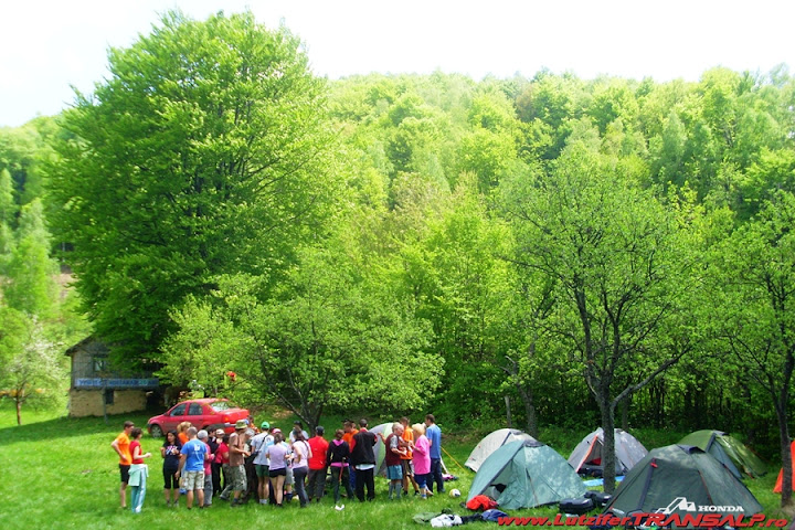 SL377690.JPG